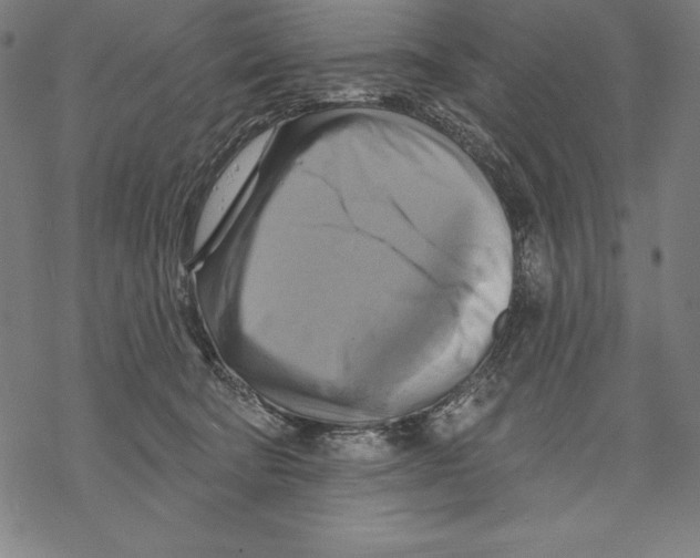 X0000067840322200605111649