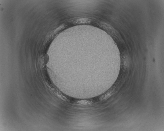 X0000067840326200605111649