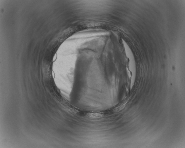 X0000067840327200605111649