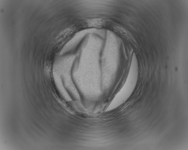 X0000067840329200605111649