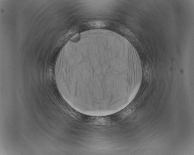 X0000067840330200605111649