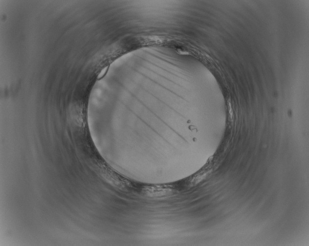 X0000067840331200605111649