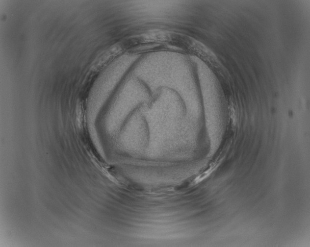 X0000067840333200605111649