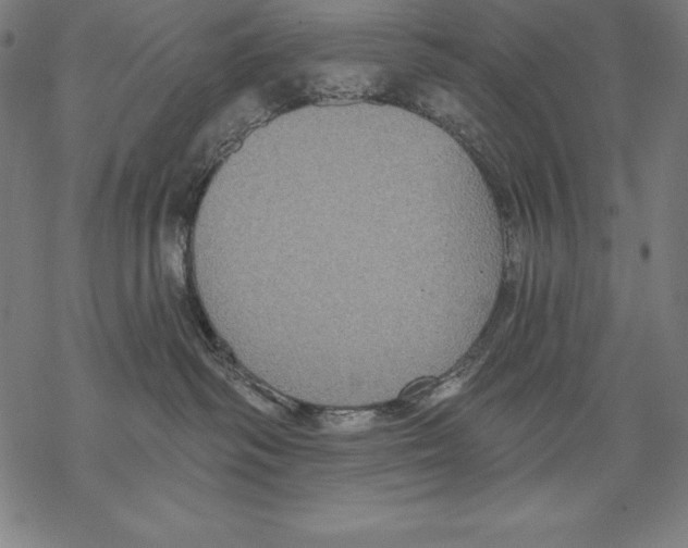 X0000067840334200605111649