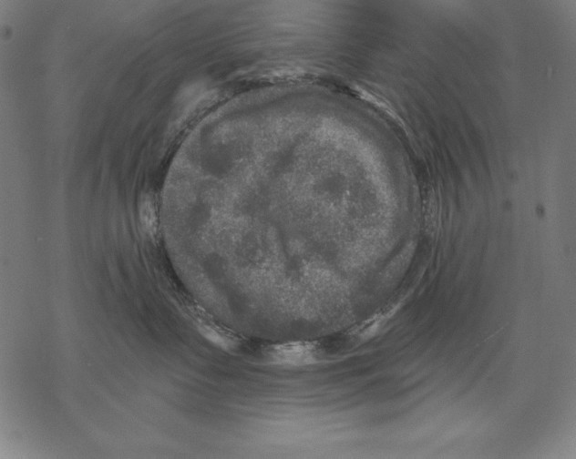 X0000067840335200605111649