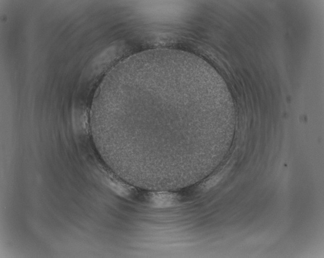 X0000067840336200605111649