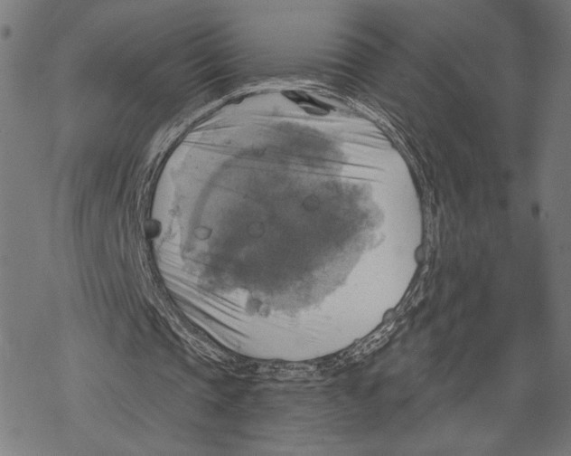 X0000067840337200605111648