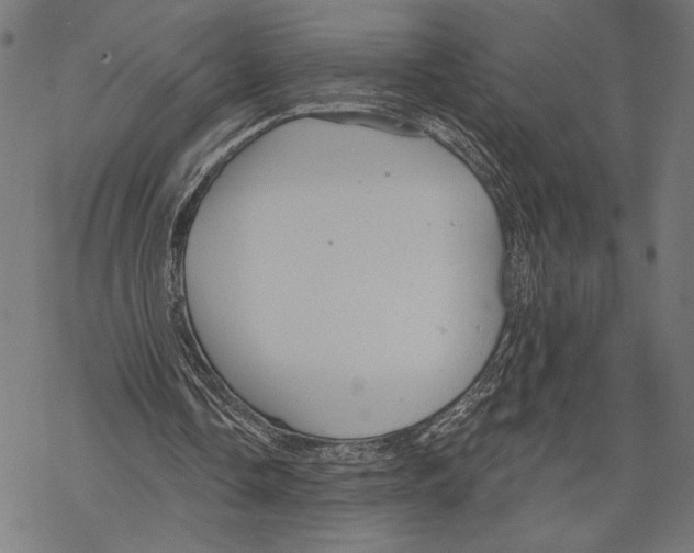 X0000067840338200605111648