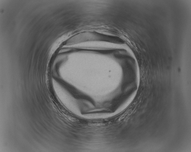 X0000067840340200605111648