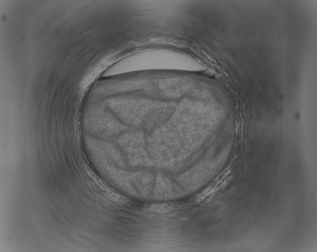 X0000067840341200605111648