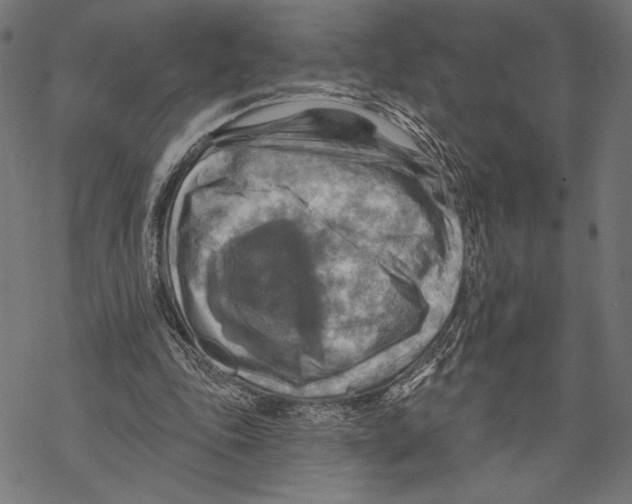 X0000067840343200605111648