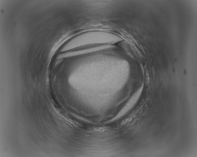 X0000067840344200605111648