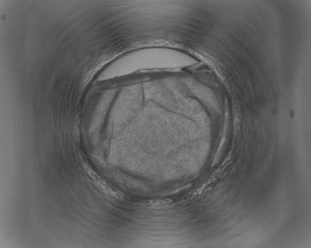 X0000067840345200605111648