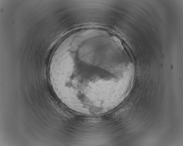 X0000067840347200605111648