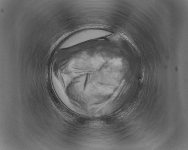 X0000067840348200605111648