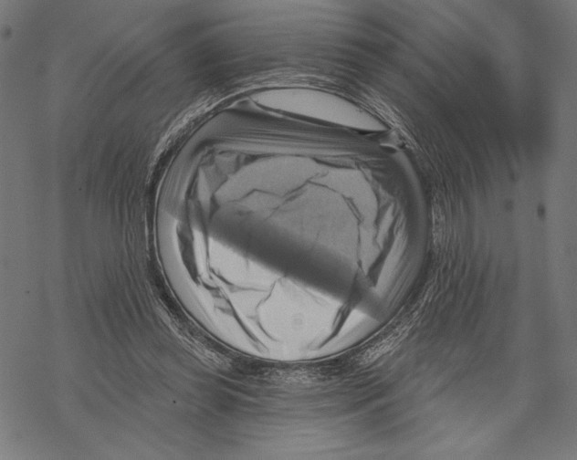 X0000067840349200605111648