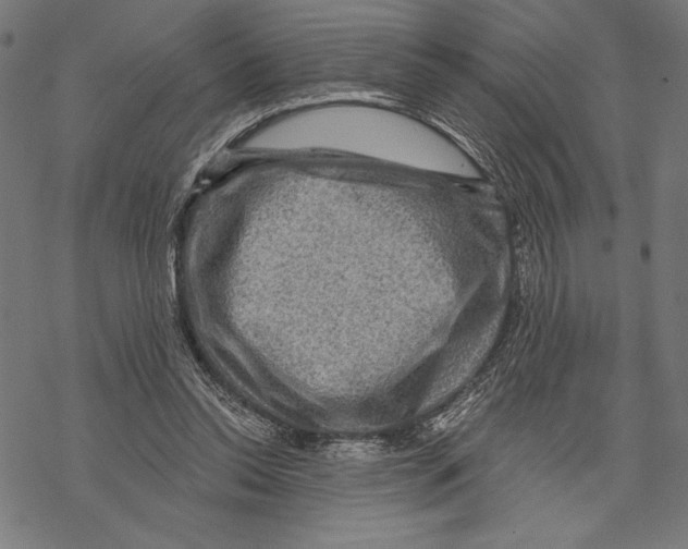 X0000067840350200605111648