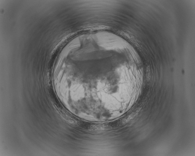 X0000067840351200605111648