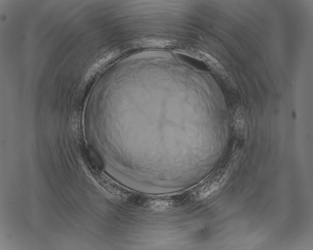 X0000067840352200605111648