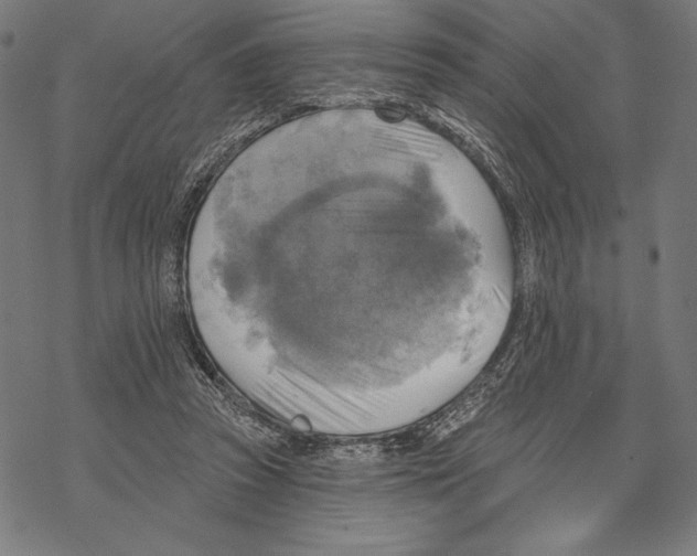 X0000067840353200605111648