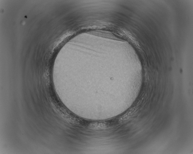 X0000067840354200605111648