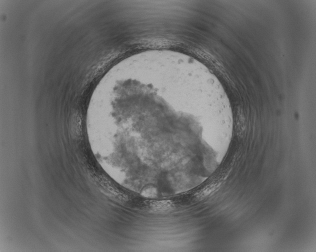 X0000067840355200605111648