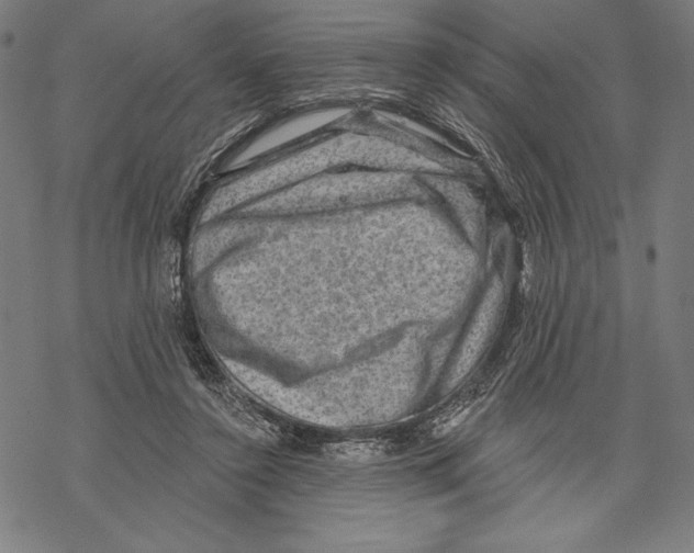 X0000067840356200605111648