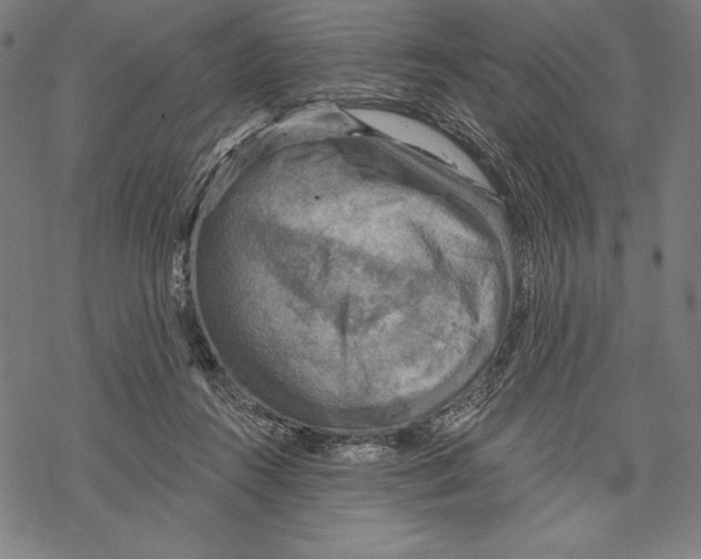 X0000067840360200605111648