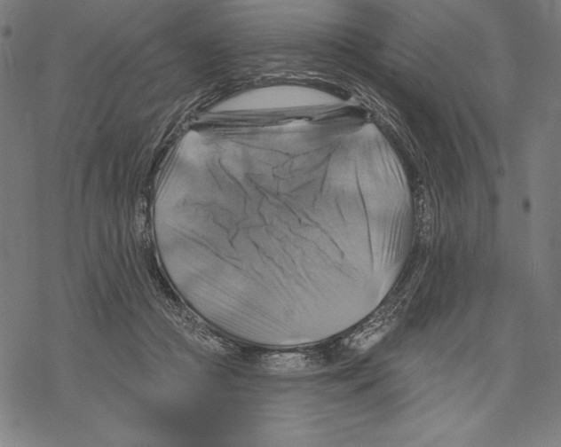 X0000067840361200605111648