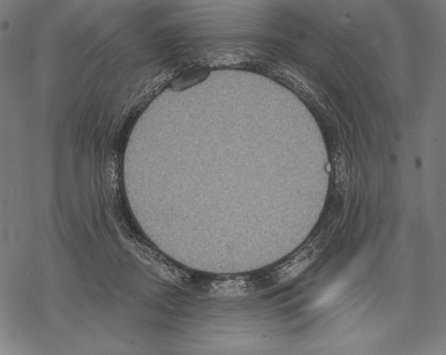 X0000067840362200605111648