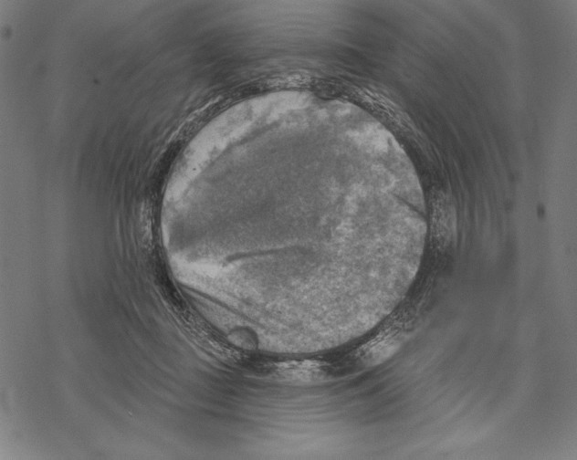 X0000067840363200605111648