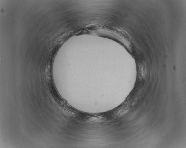 X0000067840364200605111648