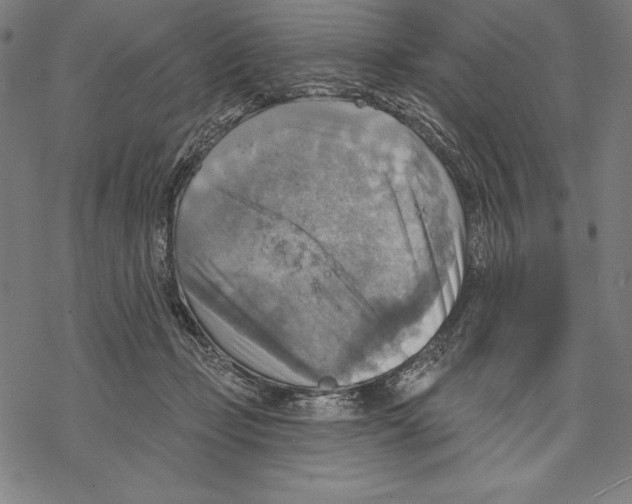 X0000067840365200605111648