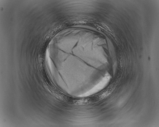 X0000067840366200605111648