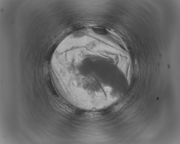 X0000067840367200605111648