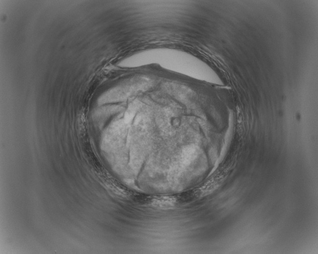 X0000067840369200605111648