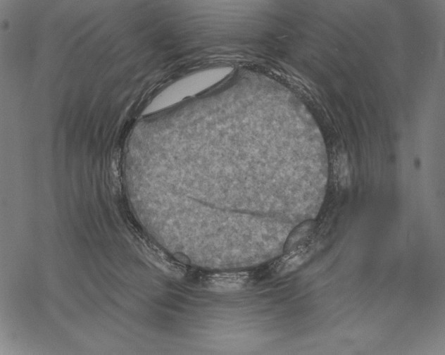 X0000067840373200605111649