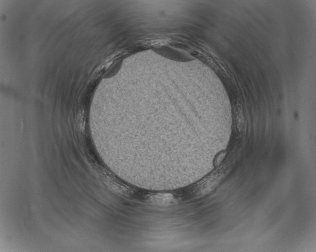 X0000067840374200605111649