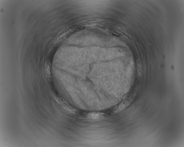 X0000067840375200605111649