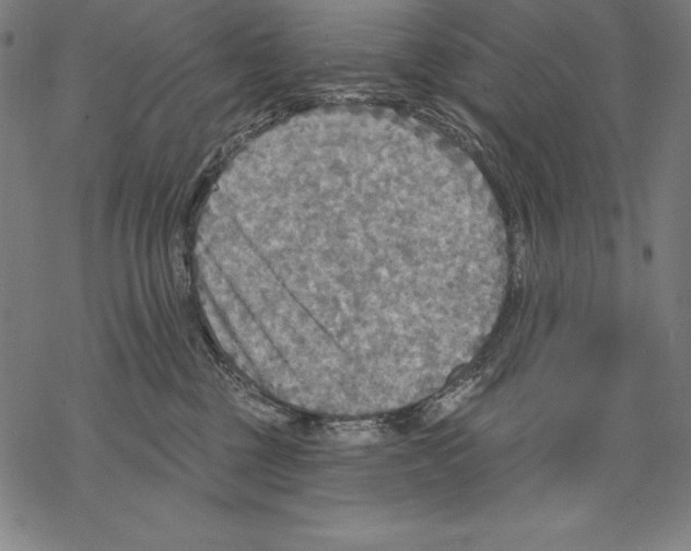 X0000067840377200605111649