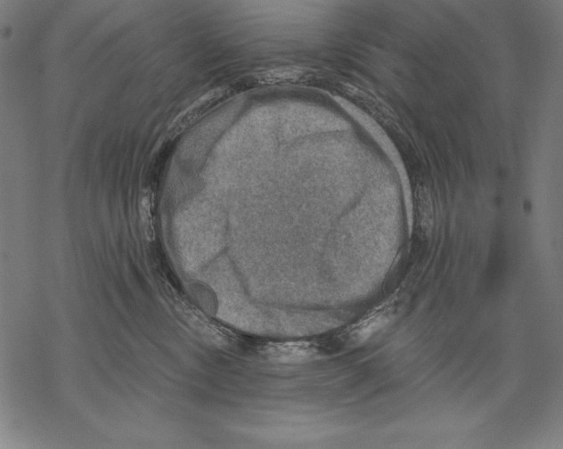 X0000067840378200605111649