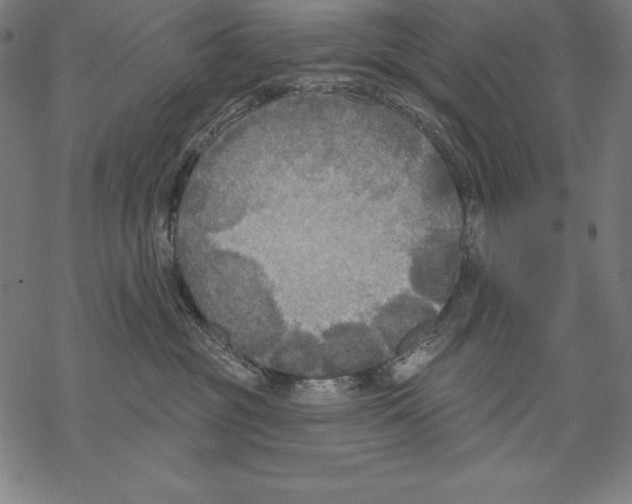 X0000067840381200605111649