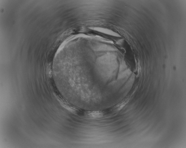 X0000067840383200605111649