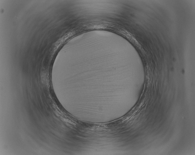 X0000067840386200605111648