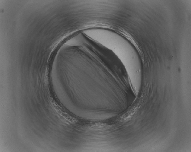 X0000067840387200605111648