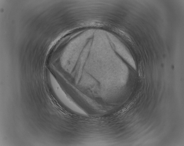 X0000067840388200605111648