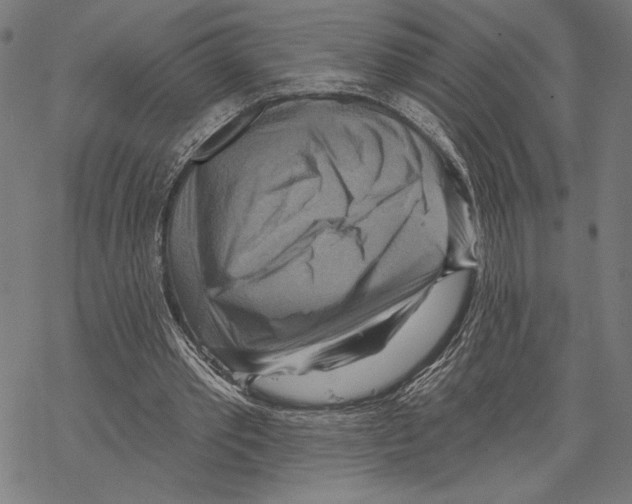 X0000067840389200605111648