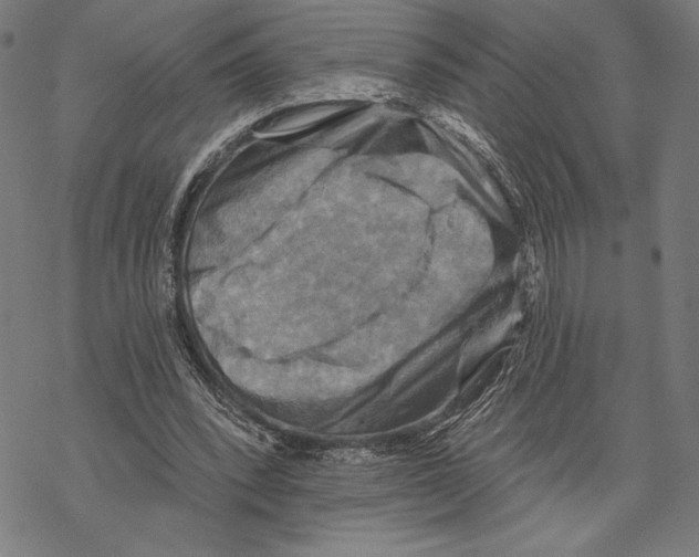 X0000067840392200605111648