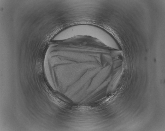 X0000067840393200605111648