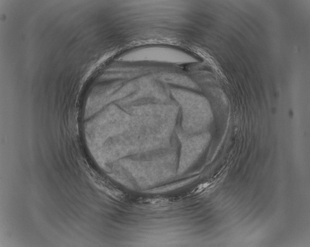 X0000067840395200605111648